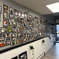County Fare Hot Dogs - Wall of dogs