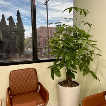 New Brite Dental - General Dentistry Near Me - Los Angeles, California New Brite Dental - General Dentistry Near Me - Los Angeles, California