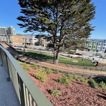 Francisco Park - Lower dog park area - Dog Parks Near Me - San Francisco, California