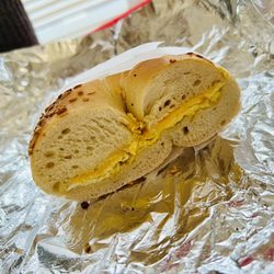 Tulip Bagels - Egg and cheese on an onion bagel