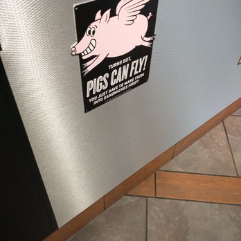 Jimmy John's - Pigs can fly sign. - Sandwiches Near Me - Tampa, Florida Jimmy John's - Pigs can fly sign. - Sandwiches Near Me - Tampa, Florida