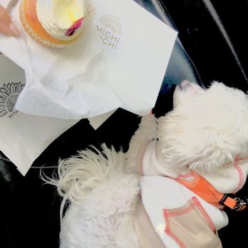 MICHI MICHI - Updated March 2025 - 132 Photos & 38 Reviews - 2800 5th ...