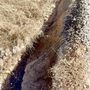 Photo of Asphalt Services & Construction