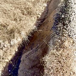 Asphalt Services & Construction