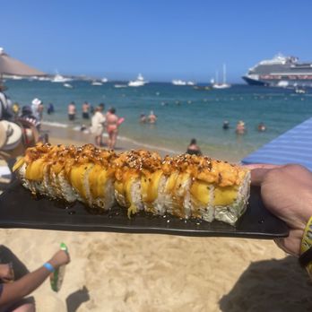 Aleta - Seafood Near Me - Cabo San Lucas, BCS Aleta - Seafood Near Me - Cabo San Lucas, BCS