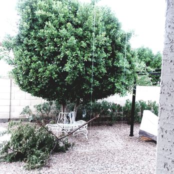 Azteca Home Services - Before and after - Pest Control Near Me - Anthem, Arizona Azteca Home Services - Before and after - Pest Control Near Me - Anthem, Arizona