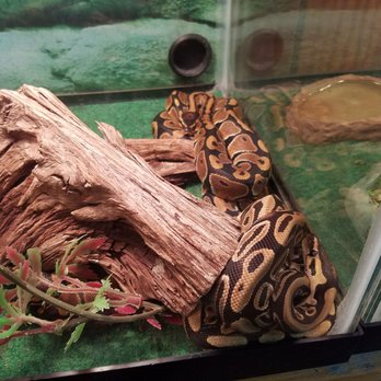 Country Pets and Ponds - Pet Stores Near Me - Warrensburg, Missouri Country Pets and Ponds - Pet Stores Near Me - Warrensburg, Missouri