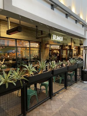 Blanco Cocina + Cantina by null