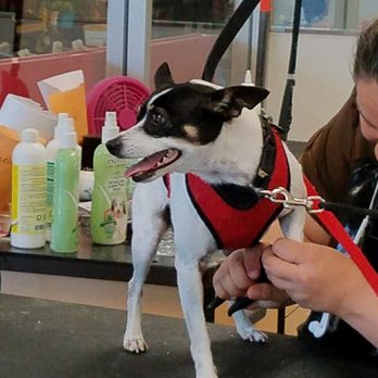Petco - Pet Stores Near Me - Union City, California
