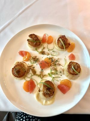 Ponte Modern American by null