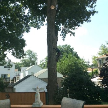 Owens Brothers Tree Service - 100 foot tree getting a trim by one of the workers - Snow Removal Near Me - Bronx, New York Owens Brothers Tree Service - 100 foot tree getting a trim by one of the workers - Snow Removal Near Me - Bronx, New York