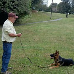 Randy Pennell Dog Training