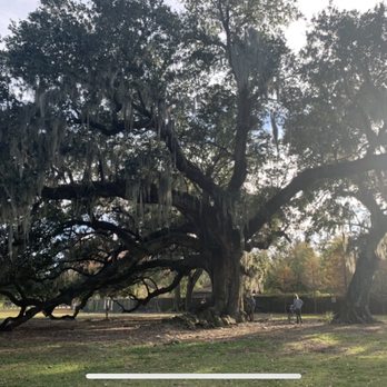 Audubon Park - Parks Near Me - New Orleans, Louisiana
