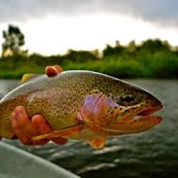 GOTCO: Great Outdoor Transportation Company - Rippin' lips on the river.