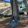 Photo of Tree Spirit Scavenger Hunt