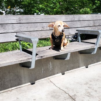 The 606 - Bloomingdale Trail - Jace enjoying break - Parks Near Me - Chicago, Illinois