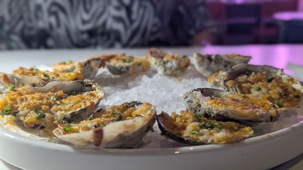 Gemma Fish + Oyster by null