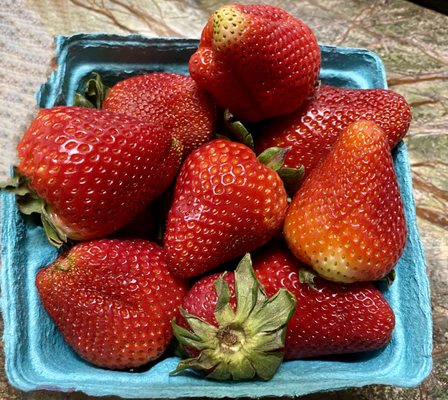 Joseph's Wayside Market by null