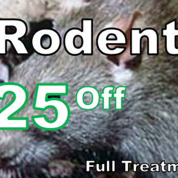 Peak Pest Management LLC - Rodent Coupon - Pest Control Near Me Peak Pest Management LLC - Rodent Coupon - Pest Control Near Me