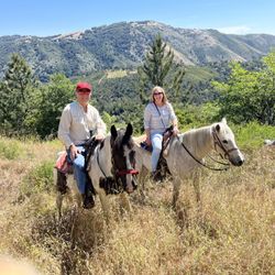 Integrity Stables - Beautiful views
