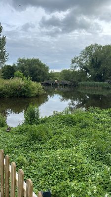 voco Oxford Thames by IHG by null