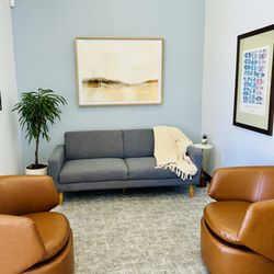 Ocotillo Chiropractic - Alma School Rd
