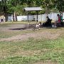 Photo of Sebastian Bark Park