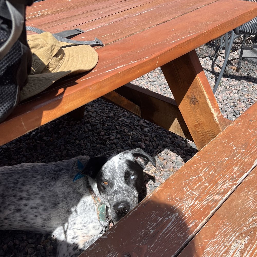 Red Rocks Beer Garden - Beer Gardens Near Me - Morrison, Colorado Red Rocks Beer Garden - Beer Gardens Near Me - Morrison, Colorado