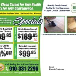 Go Green Cleaning Team