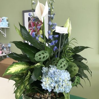 Premier Flowers - Sympathy dish garden with a hint of blue per request. - Florists Near Me - Hollywood, Florida Premier Flowers - Sympathy dish garden with a hint of blue per request. - Florists Near Me - Hollywood, Florida