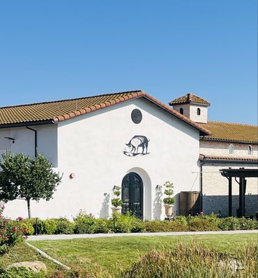 Truffle Pig Winery by null