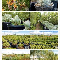 A B Nursery
