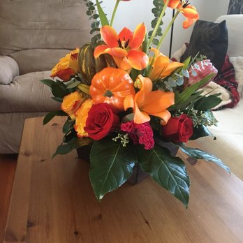 Albany Florist - Floral Designers Near Me - Albany, California Albany Florist - Floral Designers Near Me - Albany, California