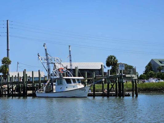 Charleston Outdoor Adventures by null