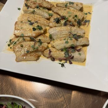 Yuengling - The walleye! - Breweries Near Me - Tampa, Florida