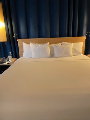 Arthouse Hotel New York City by null