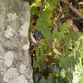 Casa Henriqueta - Galician Near Me - Oia, PO