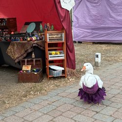 Shoppes at Dragon Village - Goose friend