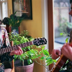Matthew Meldon Guitarist