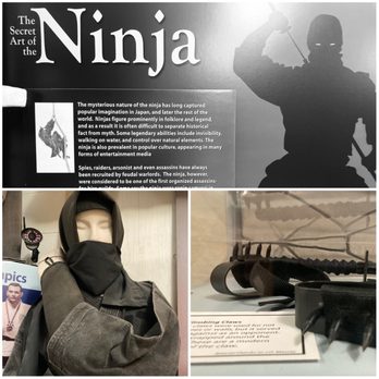 Martial Arts History Museum - My favorite section of the museum. The Secret Art of NINJA. - Museums Near Me - Glendale, California Martial Arts History Museum - My favorite section of the museum. The Secret Art of NINJA. - Museums Near Me - Glendale, California