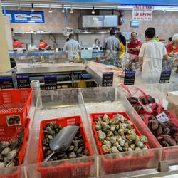 Hong Kong Supermarket - Inside the seafood section. Wild-caught snails, clams, whelk, mussels, and oysters.