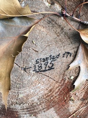 Clifford Park by null