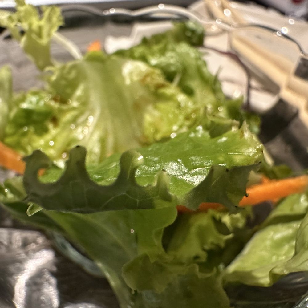 Chopstix - Green Salad (refreshing dressing) - Sushi Bars Near Me - San Diego, California Chopstix - Green Salad (refreshing dressing) - Sushi Bars Near Me - San Diego, California