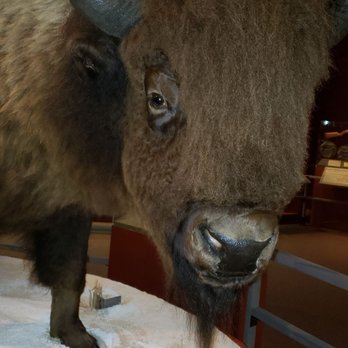 Wyoming State Museum - Museums Near Me - Cheyenne, Wyoming Wyoming State Museum - Museums Near Me - Cheyenne, Wyoming