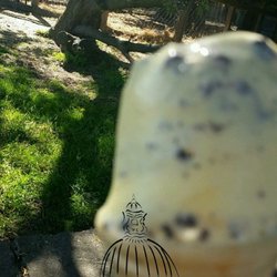 Manor Farm - My Cookies n Cream