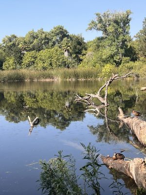 El Dorado Nature Center by null