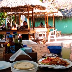La Conchita - Shrimp Mojo de Ajo , well garnished with rice, tortillas and lemonade : in a peaceful tropical garden