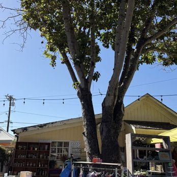 Laughing Buddha Thrift - Thrift Stores Near Me - Carpinteria, California Laughing Buddha Thrift - Thrift Stores Near Me - Carpinteria, California
