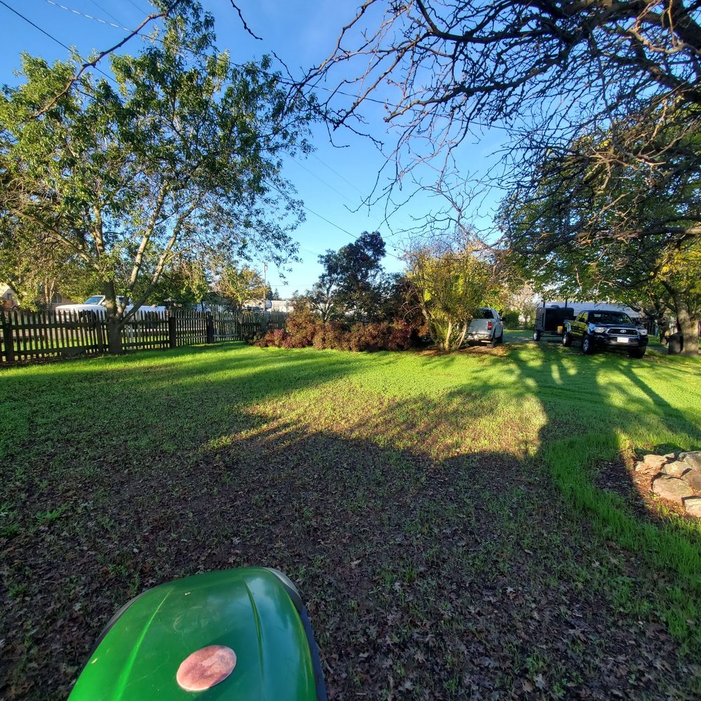 Affordable Arborist - Tree down - Tree Services Near Me - Vacaville, California