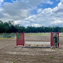 Above And Beyond Equestrian